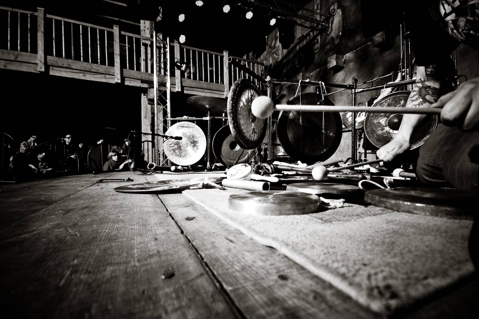 HATI: Zev koncert/IMG_1347bw