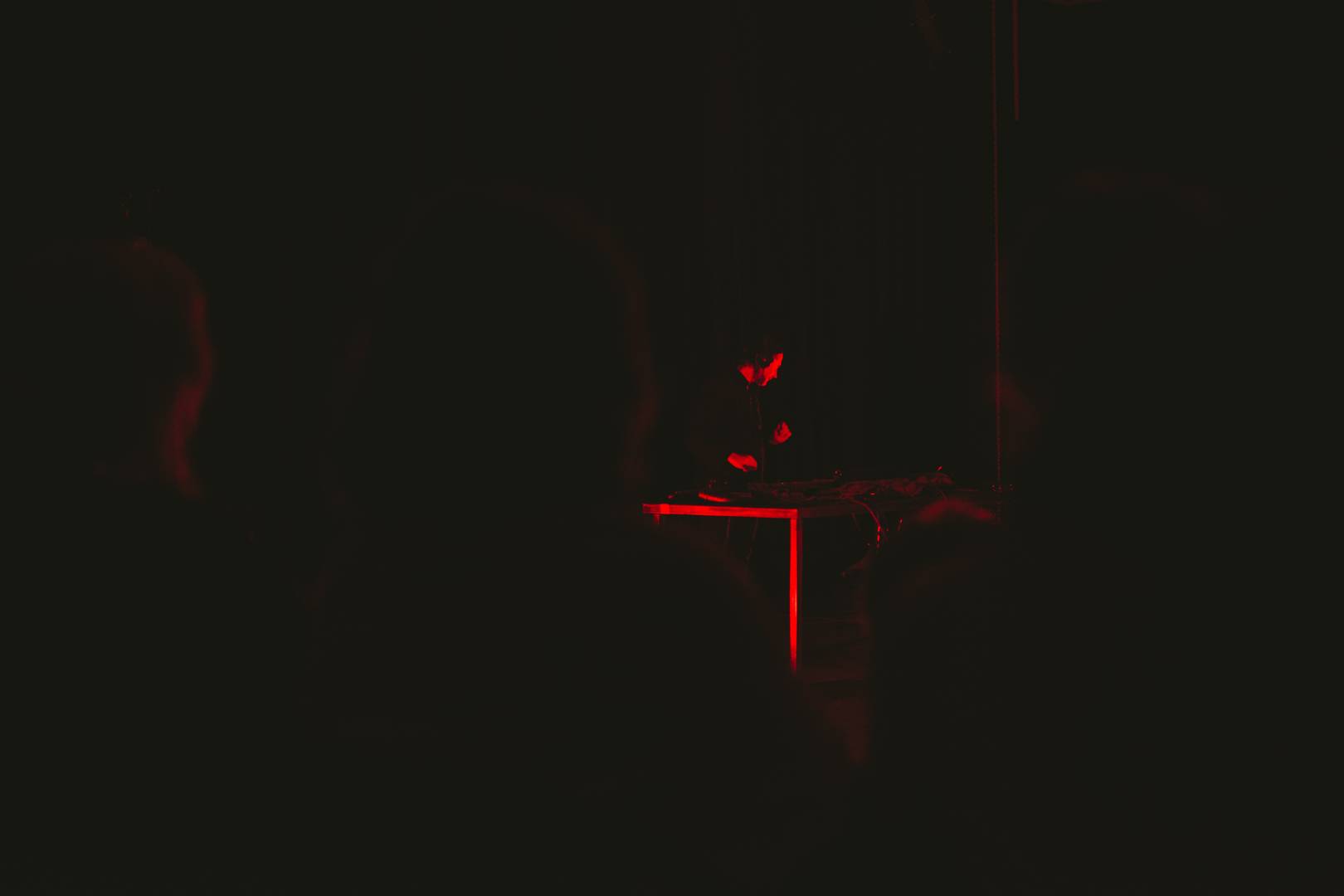 _DSC9040
